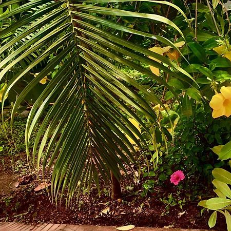 Stan-Inn, North Goa, Vagator, With Strong Wifi,Free Private Parking & Kitchen, Can Cook Where You Stay Экстерьер фото