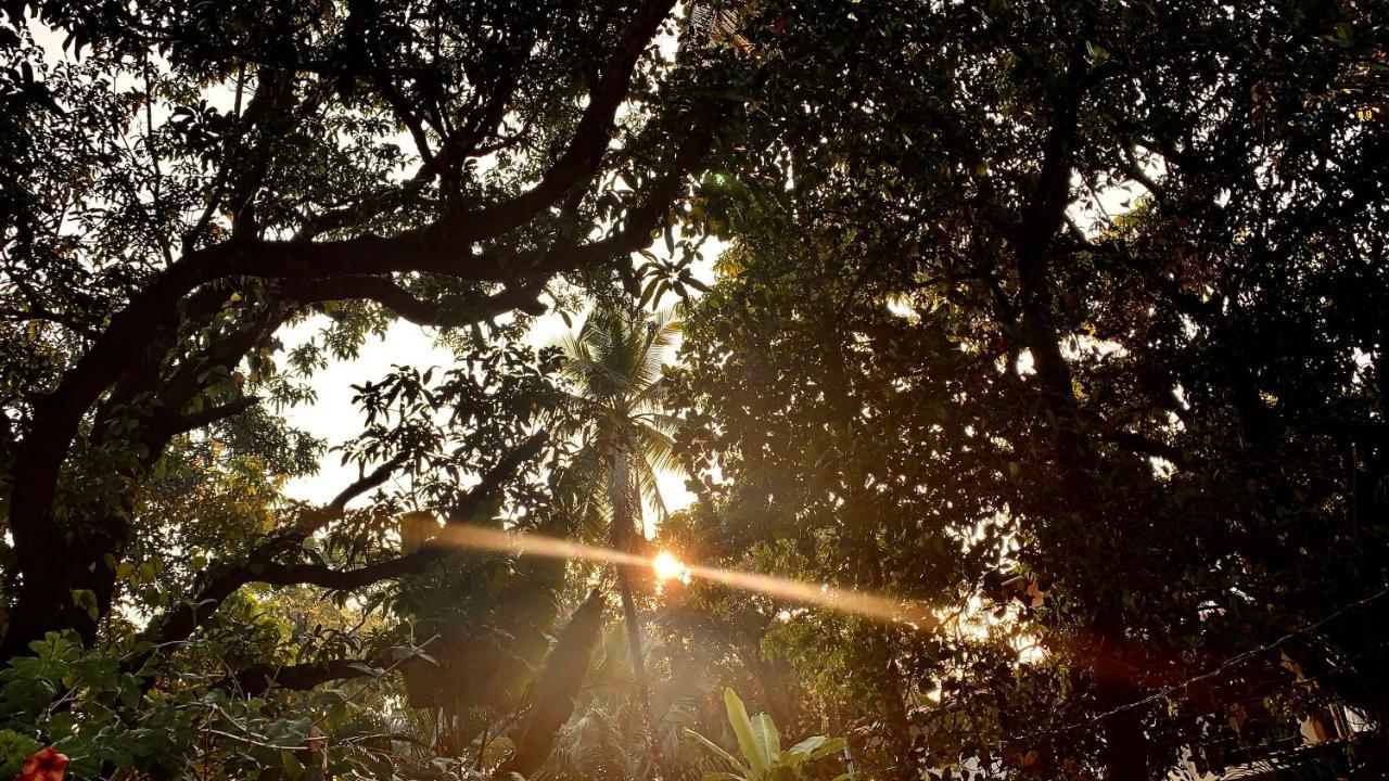 Stan-Inn, North Goa, Vagator, With Strong Wifi,Free Private Parking & Kitchen, Can Cook Where You Stay Экстерьер фото