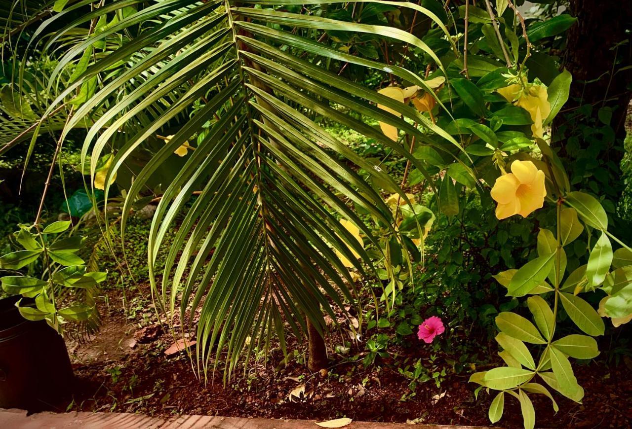 Stan-Inn, North Goa, Vagator, With Strong Wifi,Free Private Parking & Kitchen, Can Cook Where You Stay Экстерьер фото